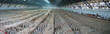 all the terracotta warriors army, zian, china, panorama all the terracotta warriors army, zian, china, panorama