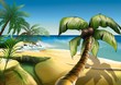 palm beach