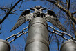 eagle symbol