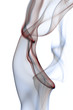 volutes de fumée 12