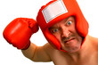 boxer