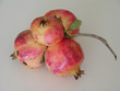 pomegranates