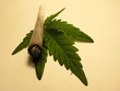 joint et feuille de cannabis