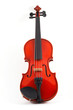 violin upright on white background