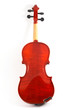 violin back view on white background, top, upright