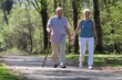 walking through the park walking through the park