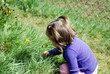 picking flowers