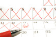 personal calendar