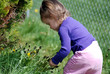 looking for flowers