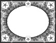 petunia border/frame, grayscale