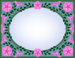 petunia frame, pink and blue