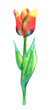 flower painting