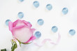 the pink rose lays on a white background with blue the pink rose lays on a white background with blue