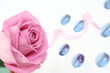 the pink rose lays on a white background with blue the pink rose lays on a white background with blue