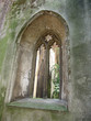 old church window in ruined church old church window in ruined church