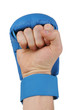 fist with karate glove