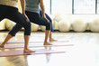 adult females in yoga class.