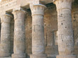 hieroglyphs on the culumns of the ramses three temple, medinet h hieroglyphs on the culumns of the ramses three temple, medinet h