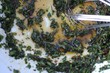 salatsose mit kräutern