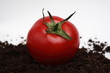 macro pomodoro 2