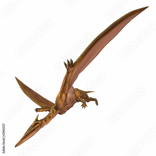 quetzalcoatlus