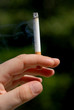 smoke