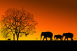 Photo en ligne au meilleur prix africa