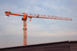 grue
