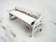 snow in the garden snow in the garden