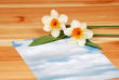 sky piece of paper with flowers