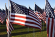 old glory old glory