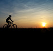 mountain biker