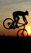 mountain biker