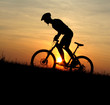 mountain biker
