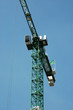 grue