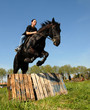 cheval et cross