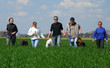 promenade de chiens promenade de chiens