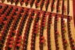 chairs in a theater