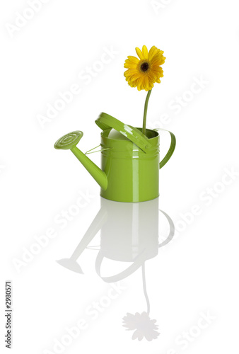 green watering can with a flower