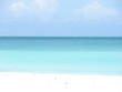 mare