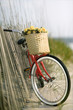 Foto: Bike leaning against fence at beach. Bike leaning against fence at beach.