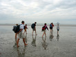 randonneurs dans la baie du mont saint michel