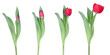 Foto: spring is comming spring is comming