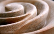Steinschnecke