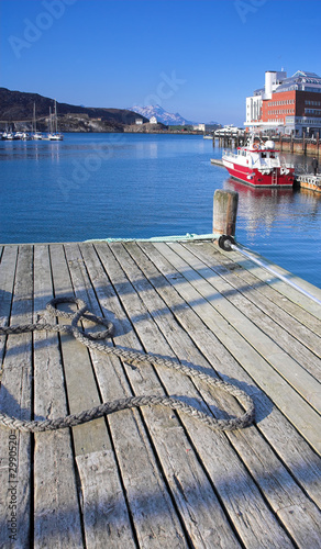 the harbor in bodo