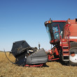 combine harvesting soybean field.