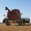 combine harvesting soybeans.