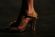 talons
