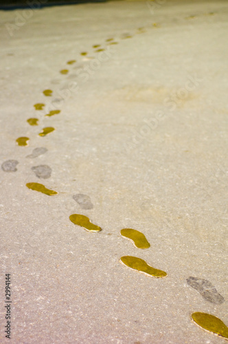 Photo: footprints on the ground footprints on the ground