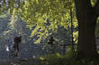 velo vtt, jardin anlagen, munich, allemagne velo vtt, jardin anlagen, munich, allemagne